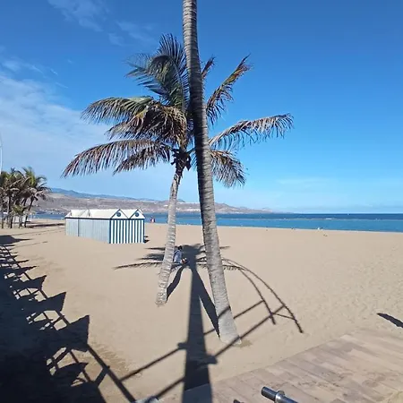 Sunshine, What Else? Апартаменты